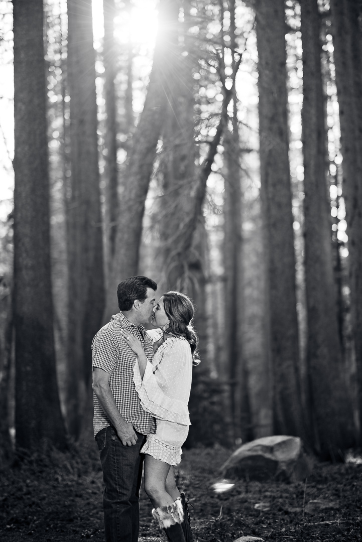 Couple embracing in a quiet forest