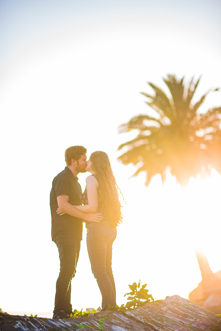 Couple embracing in silhouette beneath a coastal palm tree